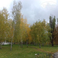 фото из отзыва ID 1392420