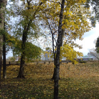 фото из отзыва ID 1392420