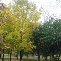 фото из отзыва ID 1392420