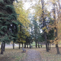 фото из отзыва ID 1392420