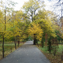 фото из отзыва ID 1392420