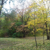 фото из отзыва ID 1392420