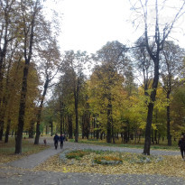 фото из отзыва ID 1392420