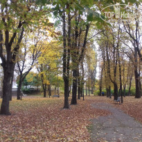 фото из отзыва ID 1392420