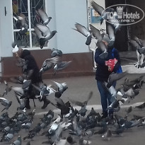 фото из отзыва ID 1392420