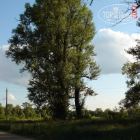 фото из отзыва ID 1396349