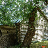 фото из отзыва ID 1396349