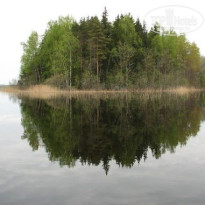 фото из отзыва ID 140740