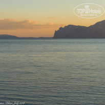 фото из отзыва ID 1400018