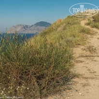 фото из отзыва ID 1400018