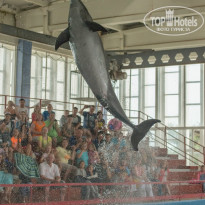 фото из отзыва ID 1400018