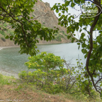 фото из отзыва ID 1400018