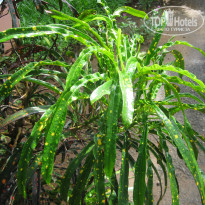 фото из отзыва ID 1400099