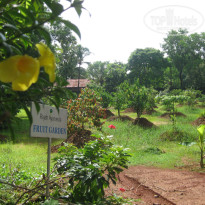 фото из отзыва ID 1400099