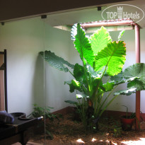 фото из отзыва ID 1400099