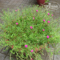 фото из отзыва ID 1400099