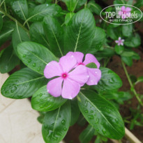 фото из отзыва ID 1400099