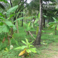 фото из отзыва ID 1400099