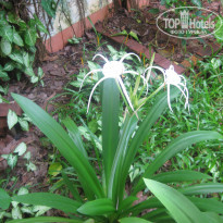 фото из отзыва ID 1400099