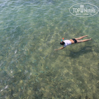 фото из отзыва ID 1400339