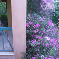 фото из отзыва ID 1400351