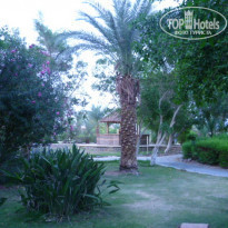 фото из отзыва ID 1400351