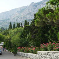 фото из отзыва ID 1400187