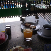 фото из отзыва ID 1400436