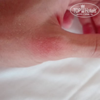 фото из отзыва ID 1400468