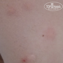 фото из отзыва ID 1400468