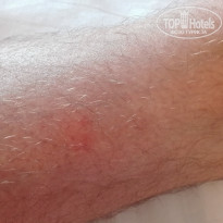 фото из отзыва ID 1400468