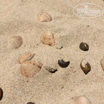 фото из отзыва ID 1400700