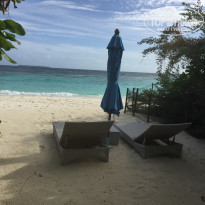 фото из отзыва ID 1400917