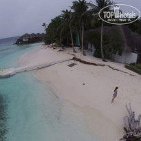 фото из отзыва ID 1400917