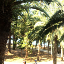 фото из отзыва ID 1400952