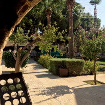 фото из отзыва ID 1401072