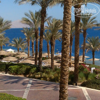 фото из отзыва ID 1401099