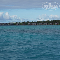 фото из отзыва ID 1401139