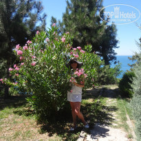 фото из отзыва ID 1401388