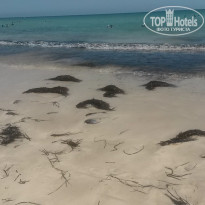 фото из отзыва ID 1401414