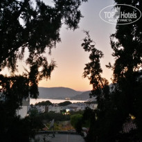 фото из отзыва ID 1401423