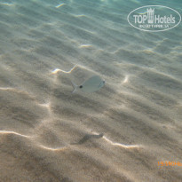 фото из отзыва ID 1401346