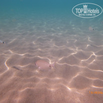 фото из отзыва ID 1401346