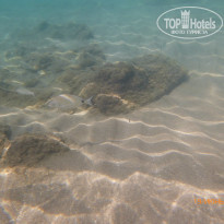 фото из отзыва ID 1401346