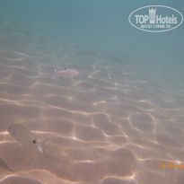 фото из отзыва ID 1401346