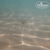 фото из отзыва ID 1401346