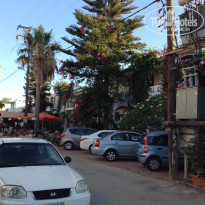 фото из отзыва ID 1401471