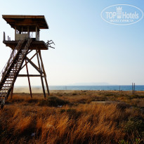 фото из отзыва ID 1401545