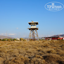 фото из отзыва ID 1401545