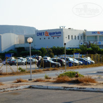 фото из отзыва ID 1401545